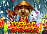 Fortune Dogs